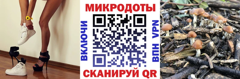 Галлюциногенные грибы мицелий  Купить закладки  Тимашёвск 